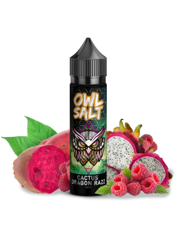 OWL Salt Longfill Drachenfrucht Kaktus Ice 10 ml in 60 ml