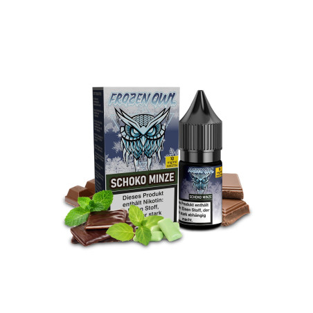 Frozen OWL Schoko Minze Nikotinsalz Liquid 10 ml 10 mg