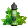 OWL Salt Longfill Spearmint 10 ml in 60 ml