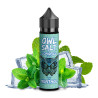 owl-salt-longfill-menthol-aroma-10ml-60ml-flasche.jpg