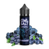 owl-salt-longfill-blueberry-aroma-10ml-60ml-flasche.jpg