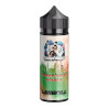 Dampfdidas Longfill - Doppelapfel Shisha - 10ml Aroma in 120ml Flasche