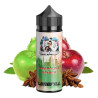 Dampfdidas Aroma Longfill - Doppelapfel Shisha - 10ml in 120ml Flasche