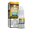 SC - Menthol - Hybrid Nikotinsalz Liquid - 10mg/ml